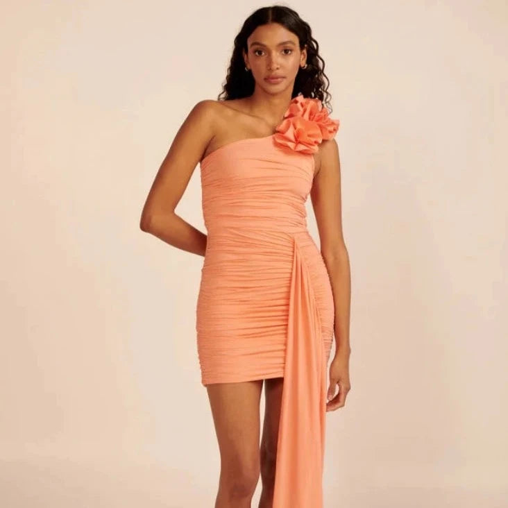 Expertly designed by fashion designer Maygel Coronel, the Dress Miramar is a bright orange, one shoulder dress that exudes sexiness. The dress features a unique stereo flower design and ruched detailing, making it a must-have for any fashion-forward woman. Its sleeveless design adds a touch of elegance, making it perfect for any occasion. Stand out in style with the Dress Miramar.